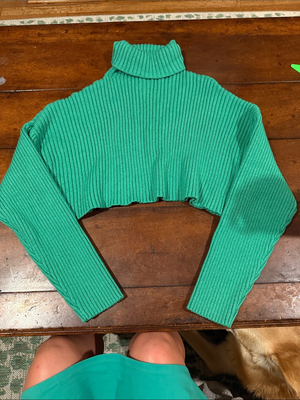Cropped Ribbed Turtleneck Sweater in green